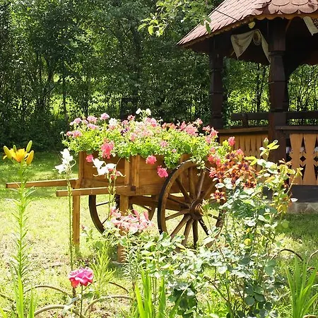 Pensionat Pensiunea Ardelean 3*