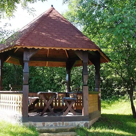 Pensionat Pensiunea Ardelean 3*