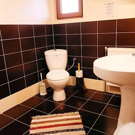 Pensiunea Ardelean 3*