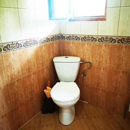 Pensiunea Ardelean 3* Vadu Izei