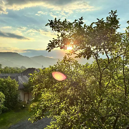 Gasthof Pensiunea Ardelean Vadu Izei